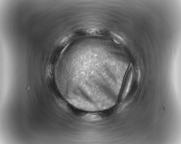 X0000084530280200703161614