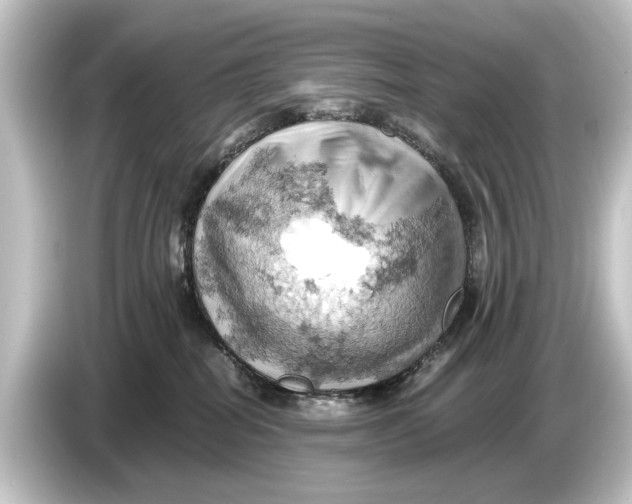 X0000084530282200703161614