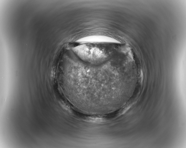 X0000084530284200703161614