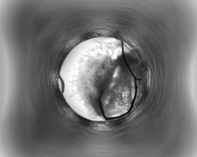 X0000084530285200703161614