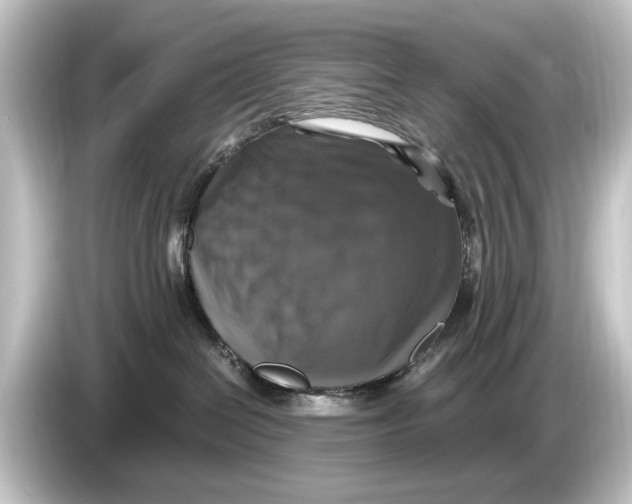 X0000084530286200703161614