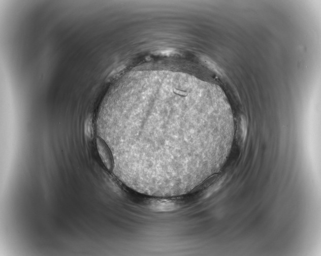 X0000084530287200703161614