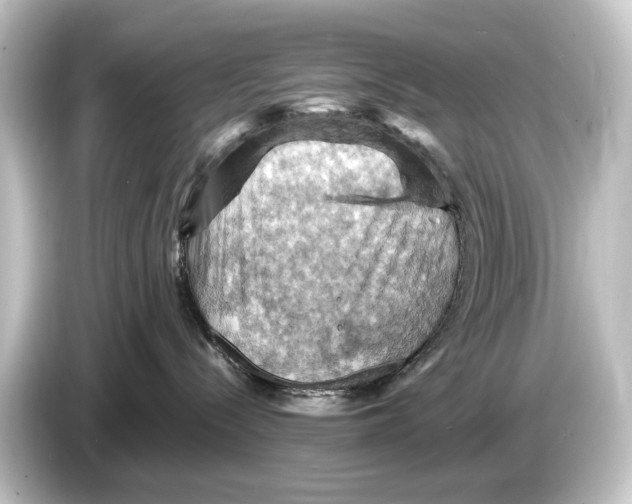 X0000084530288200703161614