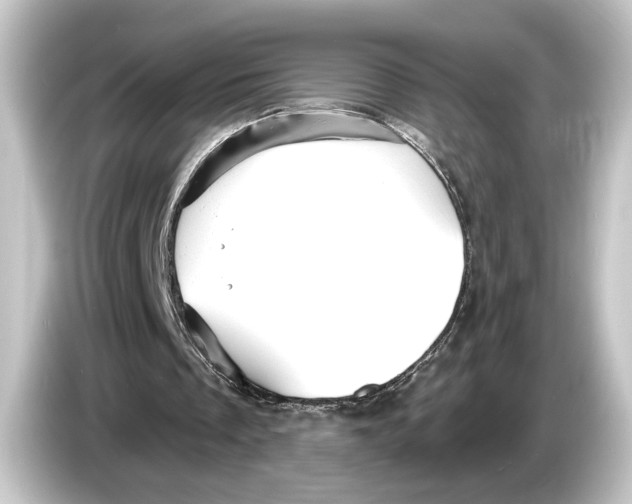 X0000084530289200703161614