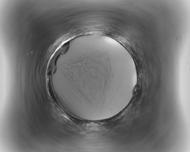 X0000084530290200703161614