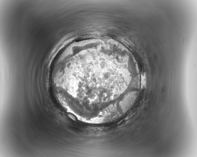 X0000084530291200703161614