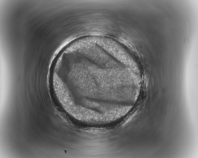 X0000084530292200703161614