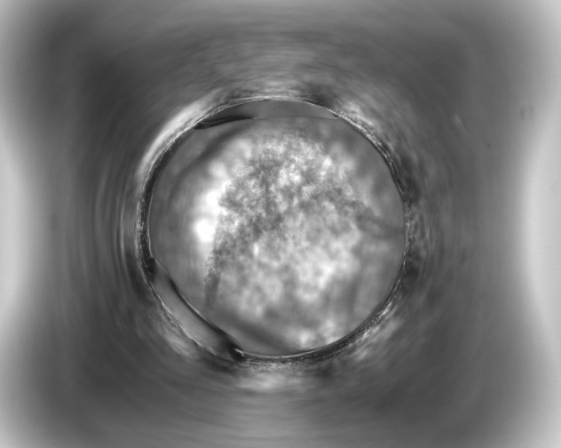 X0000084530293200703161613