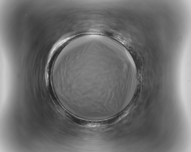 X0000084530294200703161613