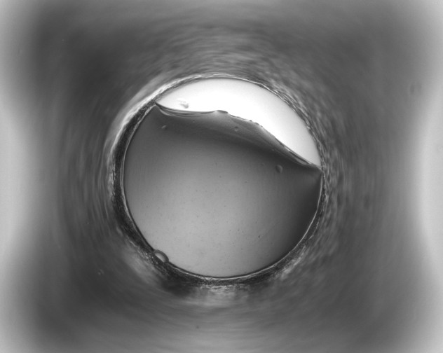 X0000084530295200703161613