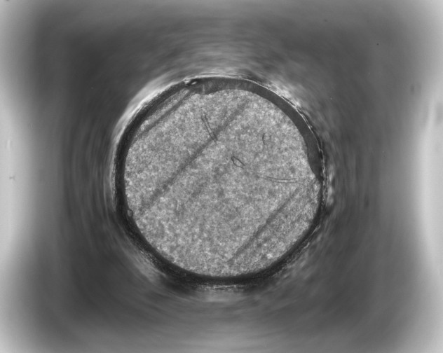 X0000084530296200703161613