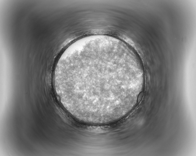 X0000084530297200703161613