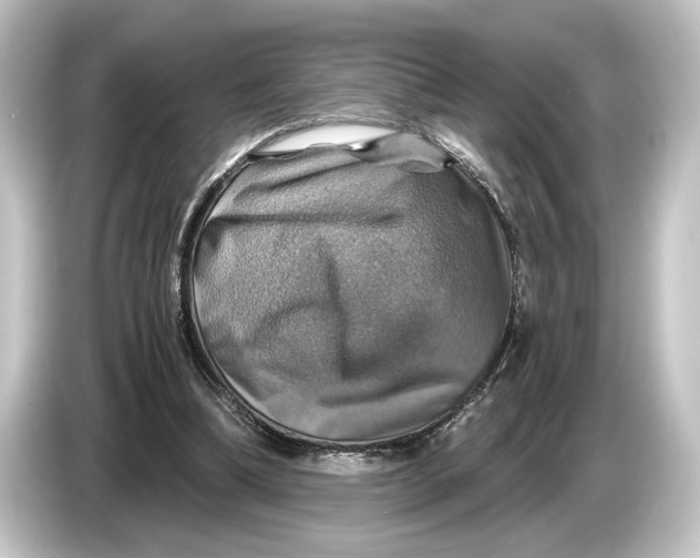 X0000084530298200703161613