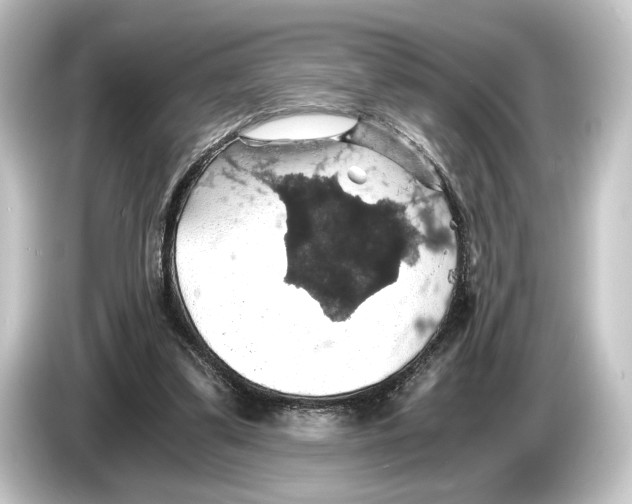 X0000084530299200703161613