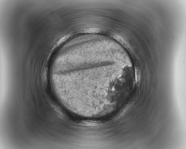 X0000084530300200703161613