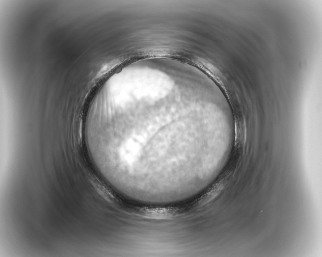 X0000084530301200703161613