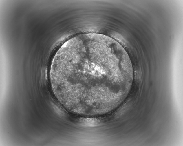 X0000084530302200703161613