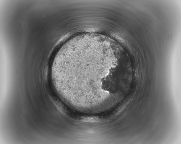 X0000084530304200703161613