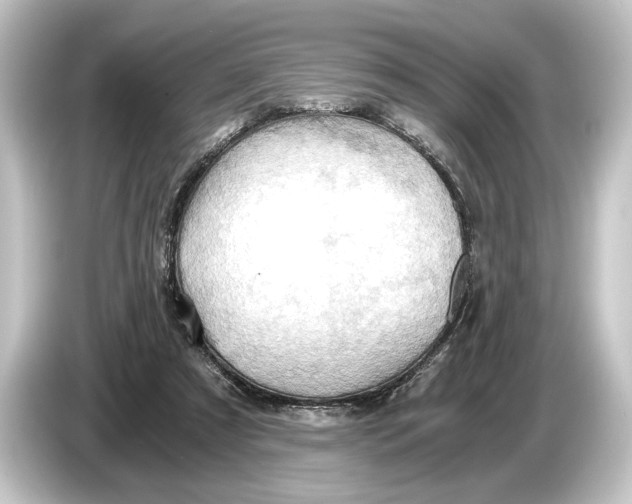 X0000084530305200703161613