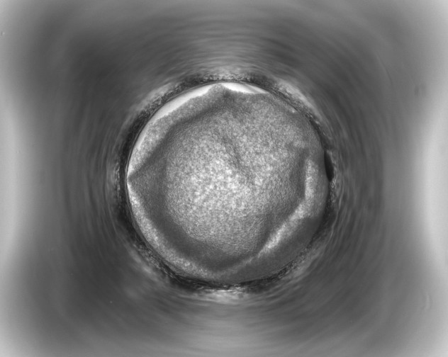 X0000084530306200703161613