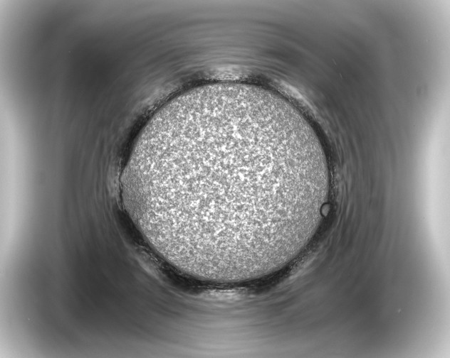 X0000084530307200703161613