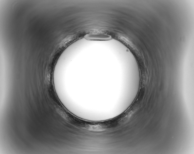 X0000084530309200703161613