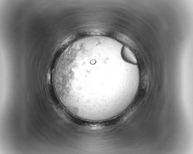 X0000084530310200703161613