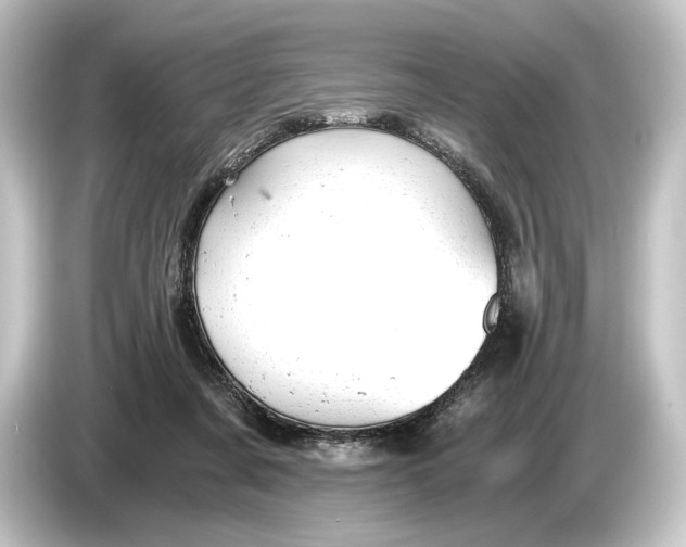 X0000084530311200703161613