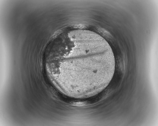 X0000084530312200703161613