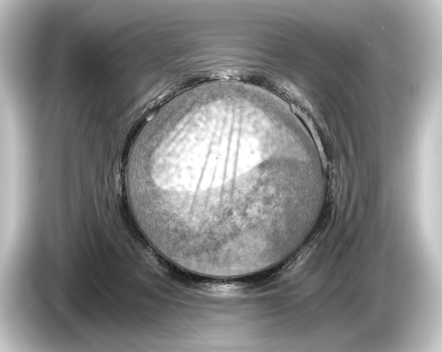 X0000084530313200703161613