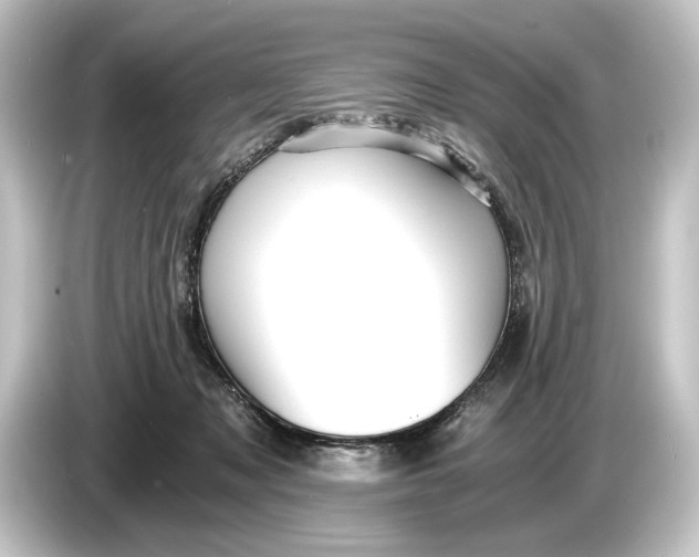 X0000084530317200703161613