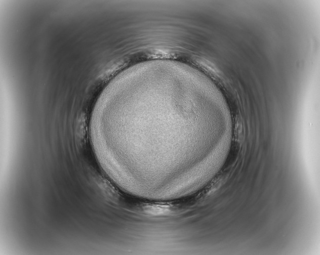 X0000084530318200703161613