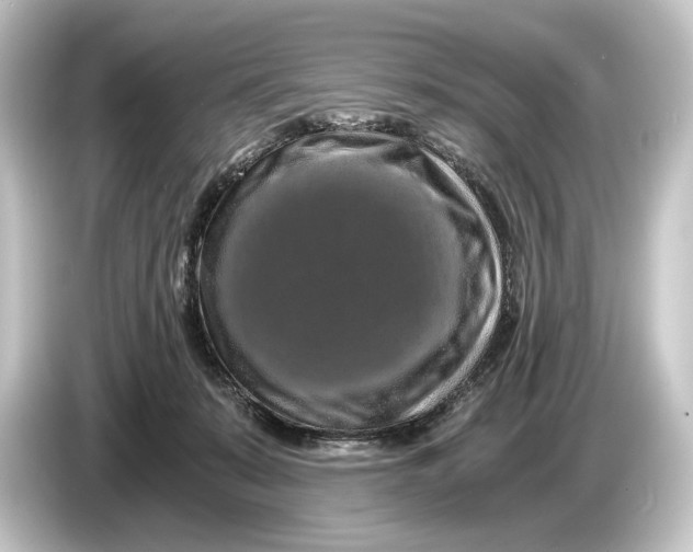 X0000084530319200703161613