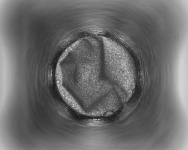 X0000084530320200703161613