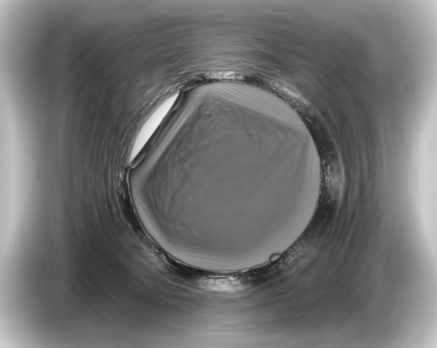 X0000084530322200703161613