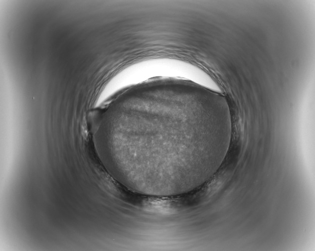 X0000084530325200703161613