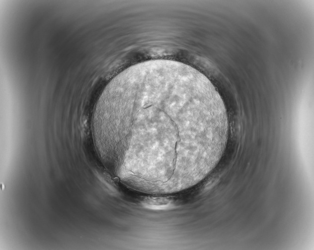 X0000084530327200703161613