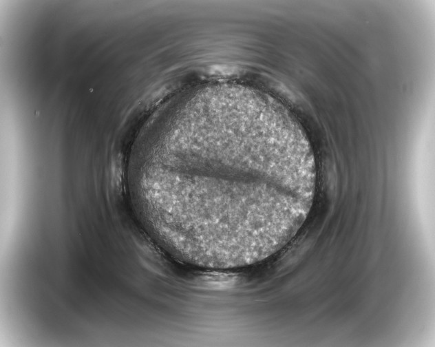 X0000084530328200703161613