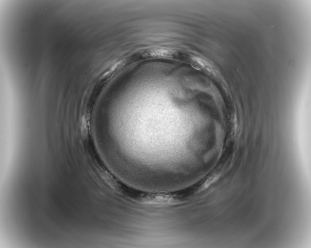 X0000084530329200703161613