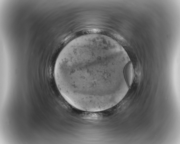 X0000084530330200703161613