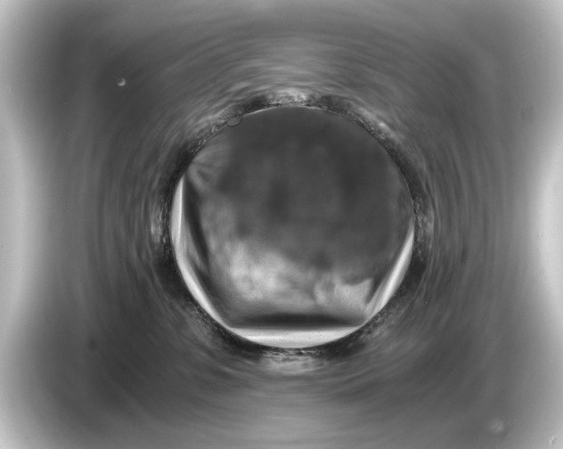 X0000084530331200703161613