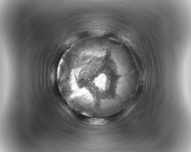 X0000084530334200703161613