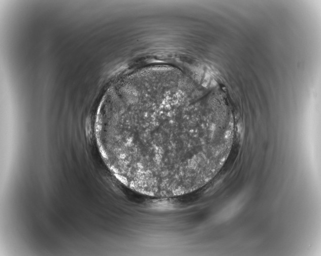 X0000084530335200703161613