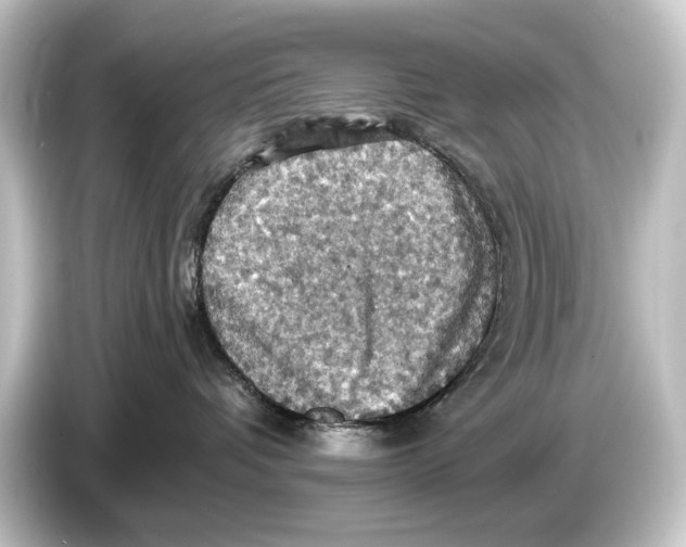 X0000084530336200703161613