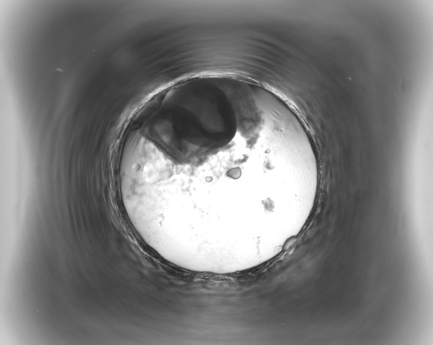 X0000084530337200703161612