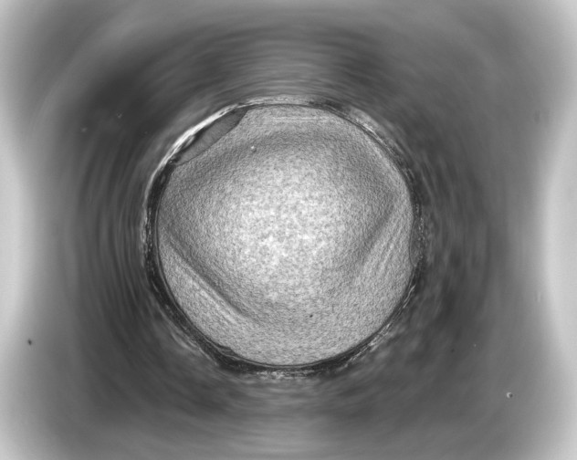 X0000084530338200703161612