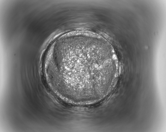 X0000084530339200703161612