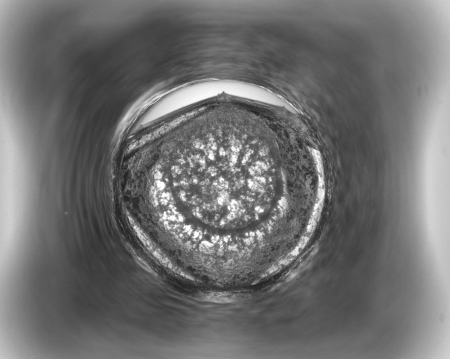 X0000084530341200703161612