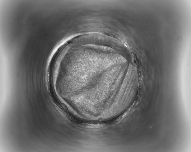 X0000084530342200703161612