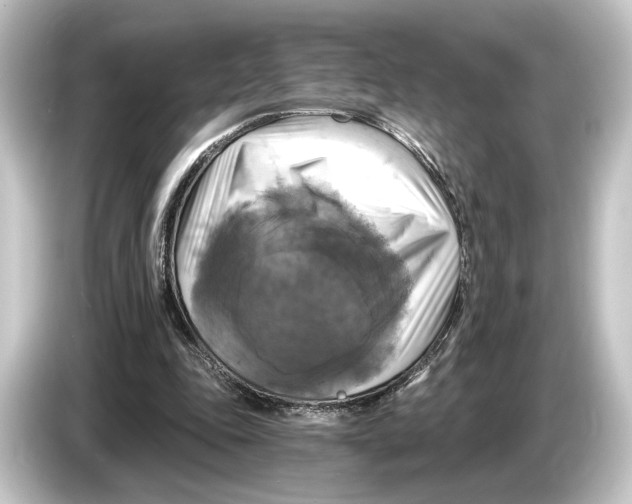 X0000084530343200703161612